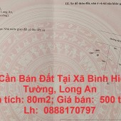 Chính Chủ Cần Bán Đất Đẹp Tại Xã Bình Hiệp, TX Kiến Tường, Long An